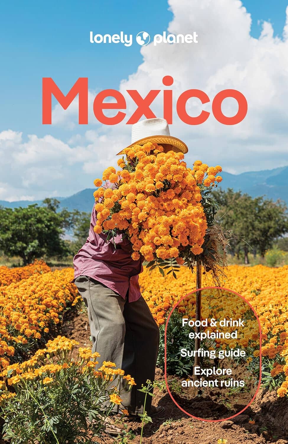 Guide de voyage (en anglais) - Mexico - Édition 2025 | Lonely Planet guide de voyage Lonely Planet EN 