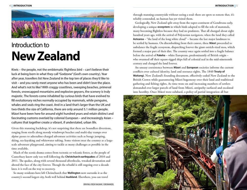 Guide de voyage (en anglais) - New Zealand - Édition 2024 | Rough Guides guide de voyage Rough Guides 