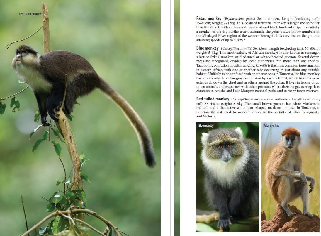 Guide de voyage (en anglais) - Northern Tanzania | Bradt guide de voyage Bradt 