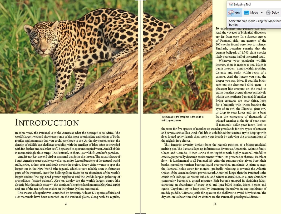 Guide de voyage (en anglais) - Pantanal Wildlife (Brésil) | Bradt guide de voyage Bradt 