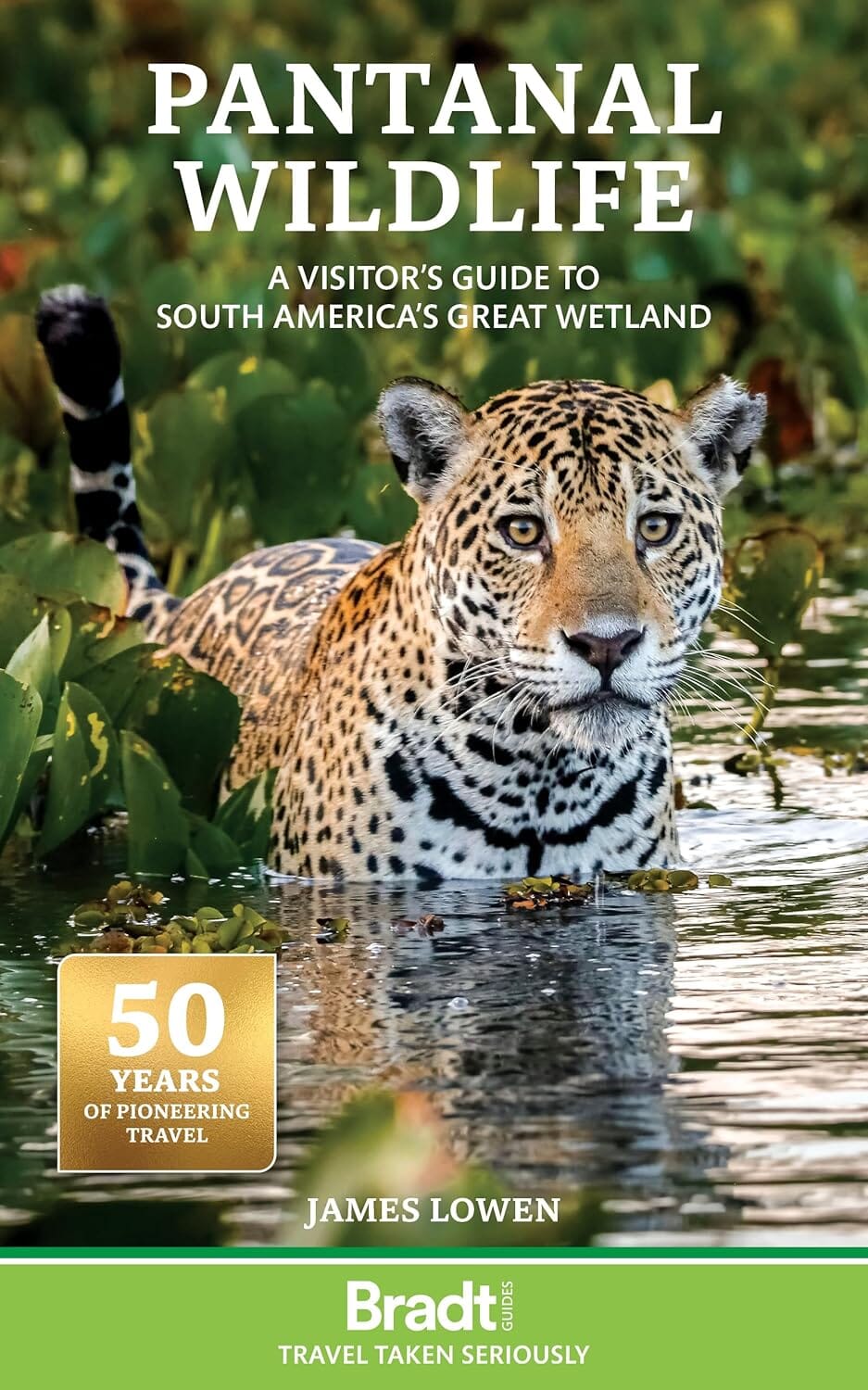Guide de voyage (en anglais) - Pantanal Wildlife (Brésil) | Bradt guide de voyage Bradt 