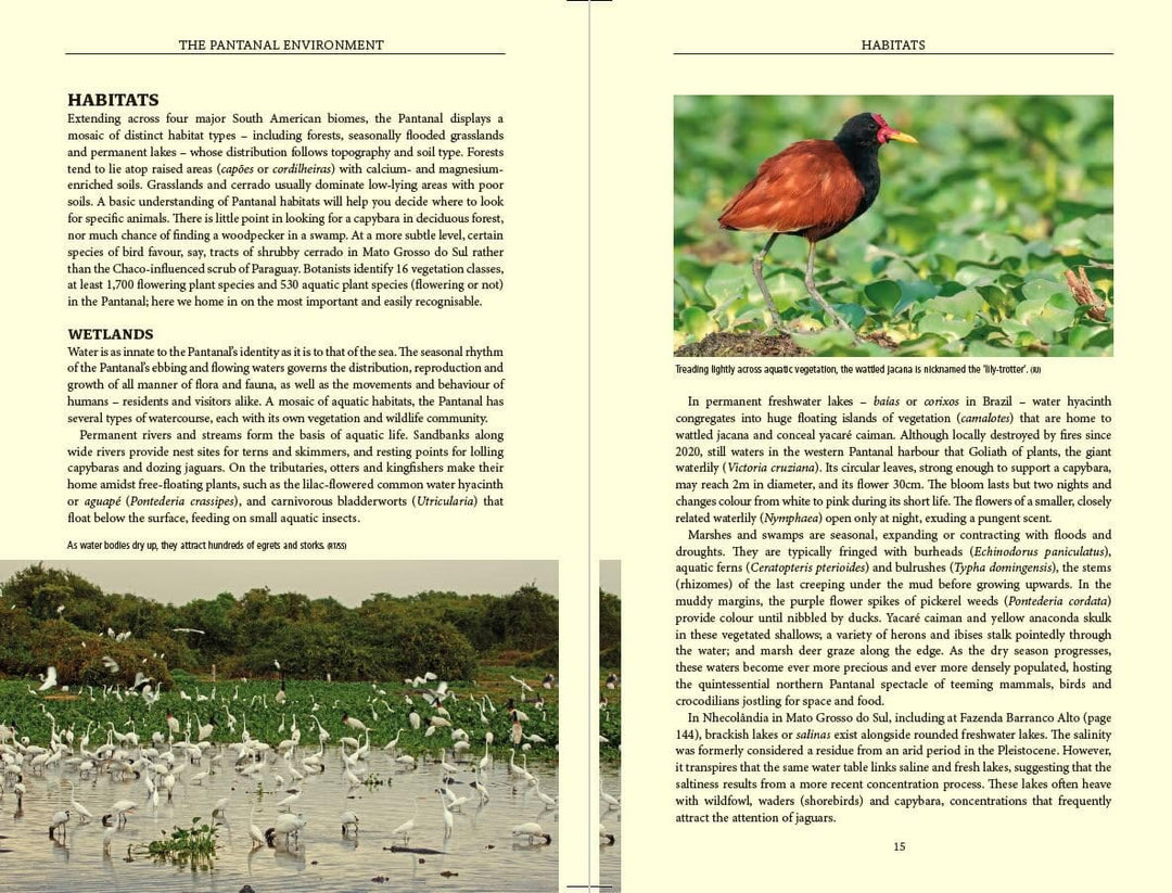 Guide de voyage (en anglais) - Pantanal Wildlife (Brésil) | Bradt guide de voyage Bradt 