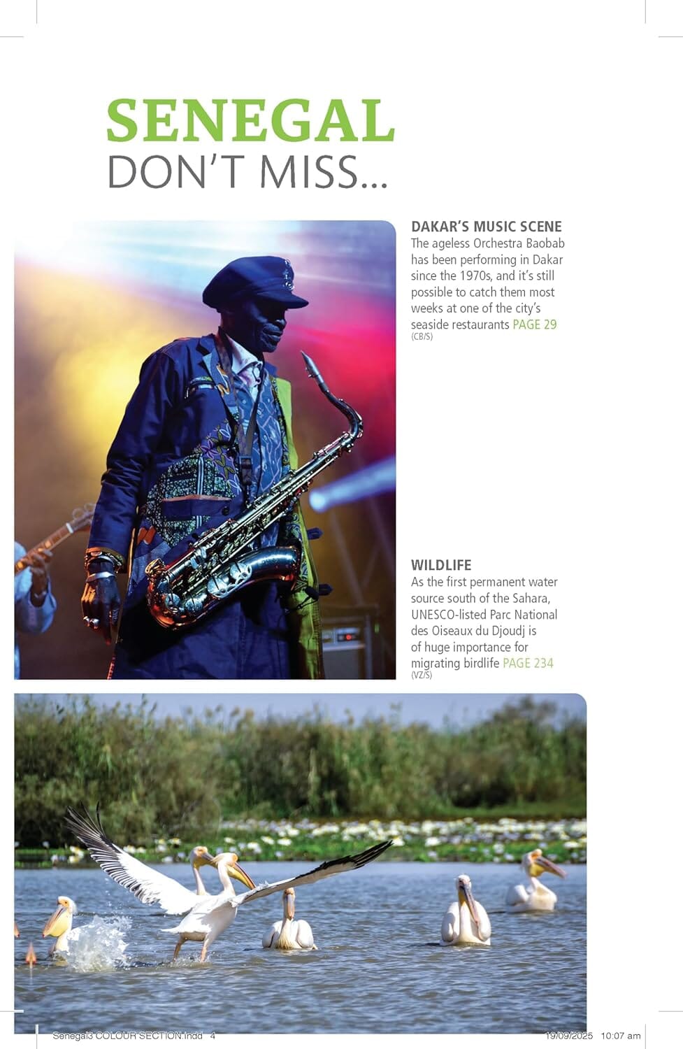 Guide de voyage (en anglais) - Sénégal - Édition 2025 | Bradt guide de voyage Bradt 