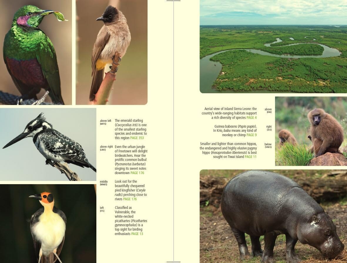 Guide de voyage (en anglais) - Sierra Leone - Édition 2025 | Bradt guide de voyage Bradt 