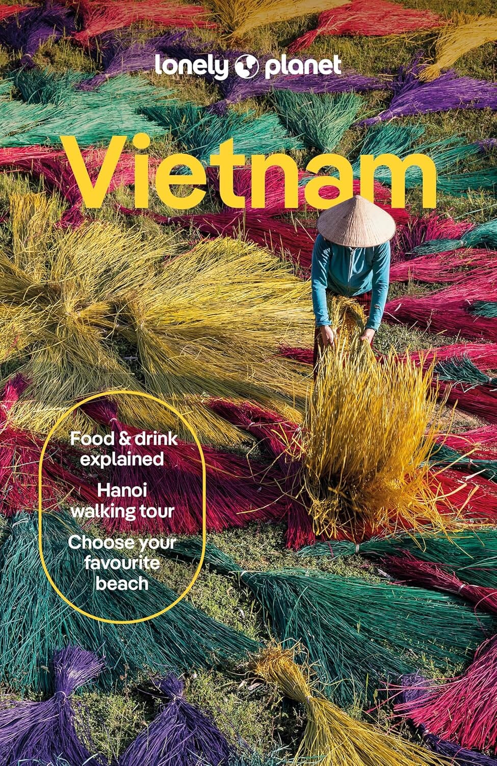 Guide de voyage (en anglais) - Vietnam - Édition 2025 | Lonely Planet guide de voyage Lonely Planet EN 