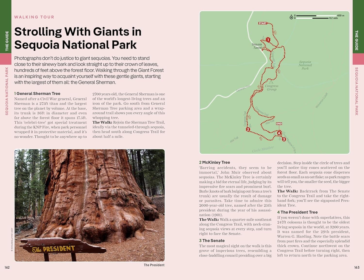 Guide de voyage (en anglais) - Yosemite, Sequoia & Kings Canyon National Parks - Édition 2024 | Lonely Planet guide de voyage Lonely Planet EN 