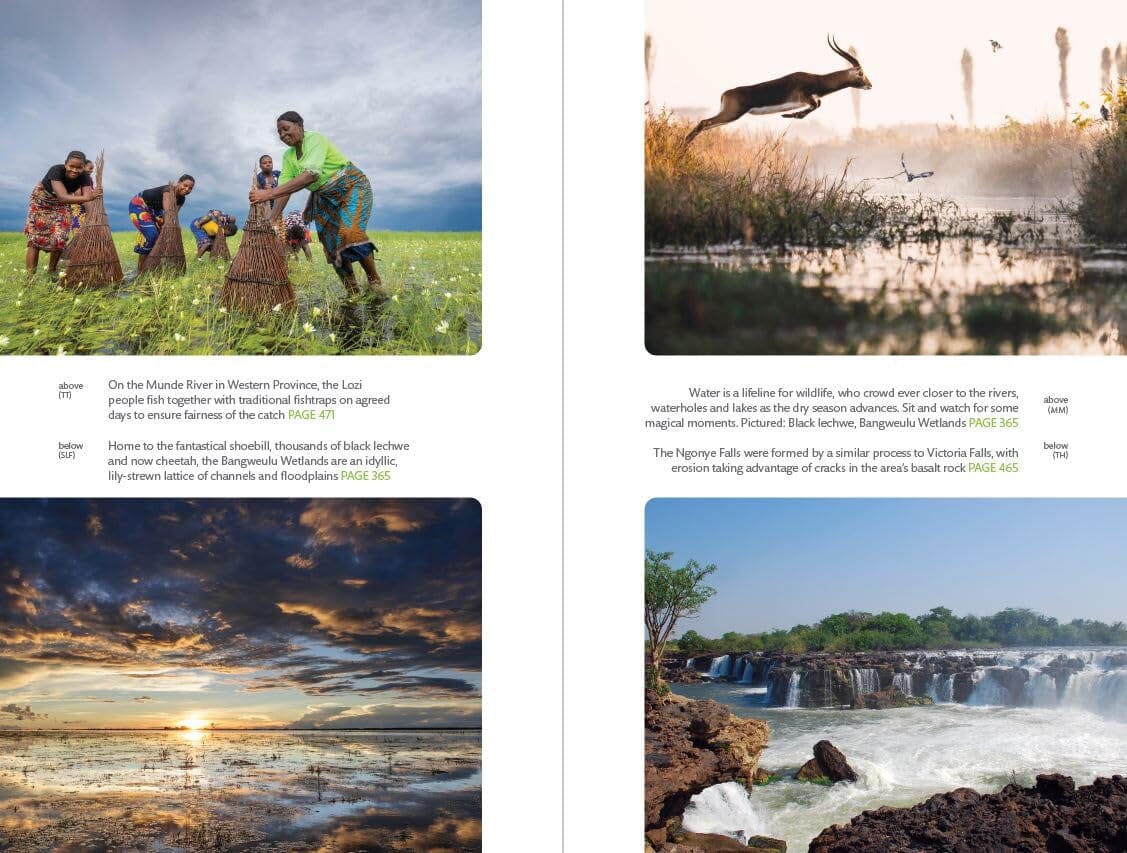 Guide de voyage (en anglais) - Zambia safari guide | Bradt guide de voyage Bradt 