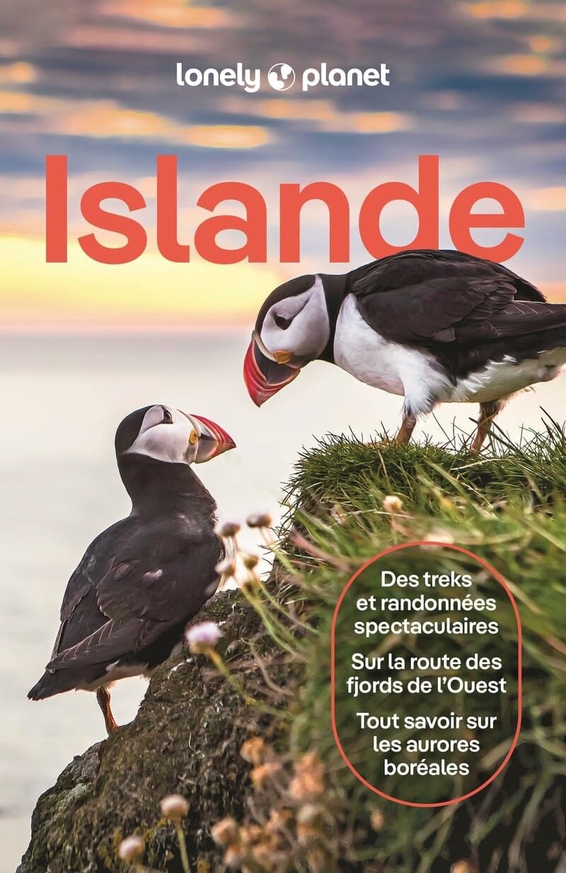 Guide de voyage - Islande 2026 | Lonely Planet guide de voyage Lonely Planet 