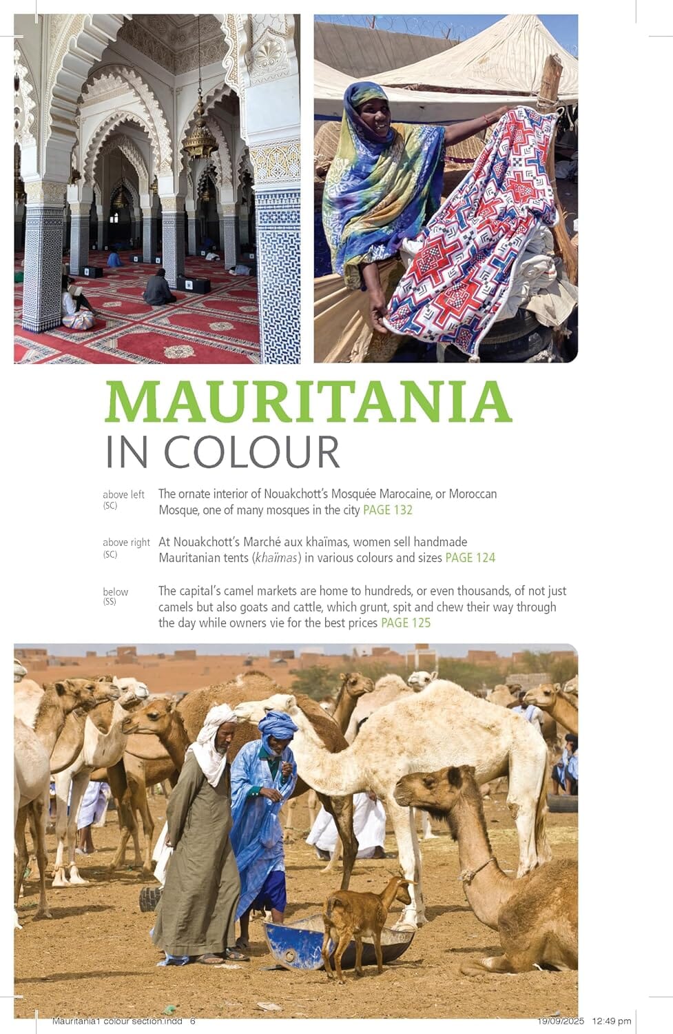 Guide de voyage Mauritanie 2025 - en anglais | Bradt guide de voyage Bradt 