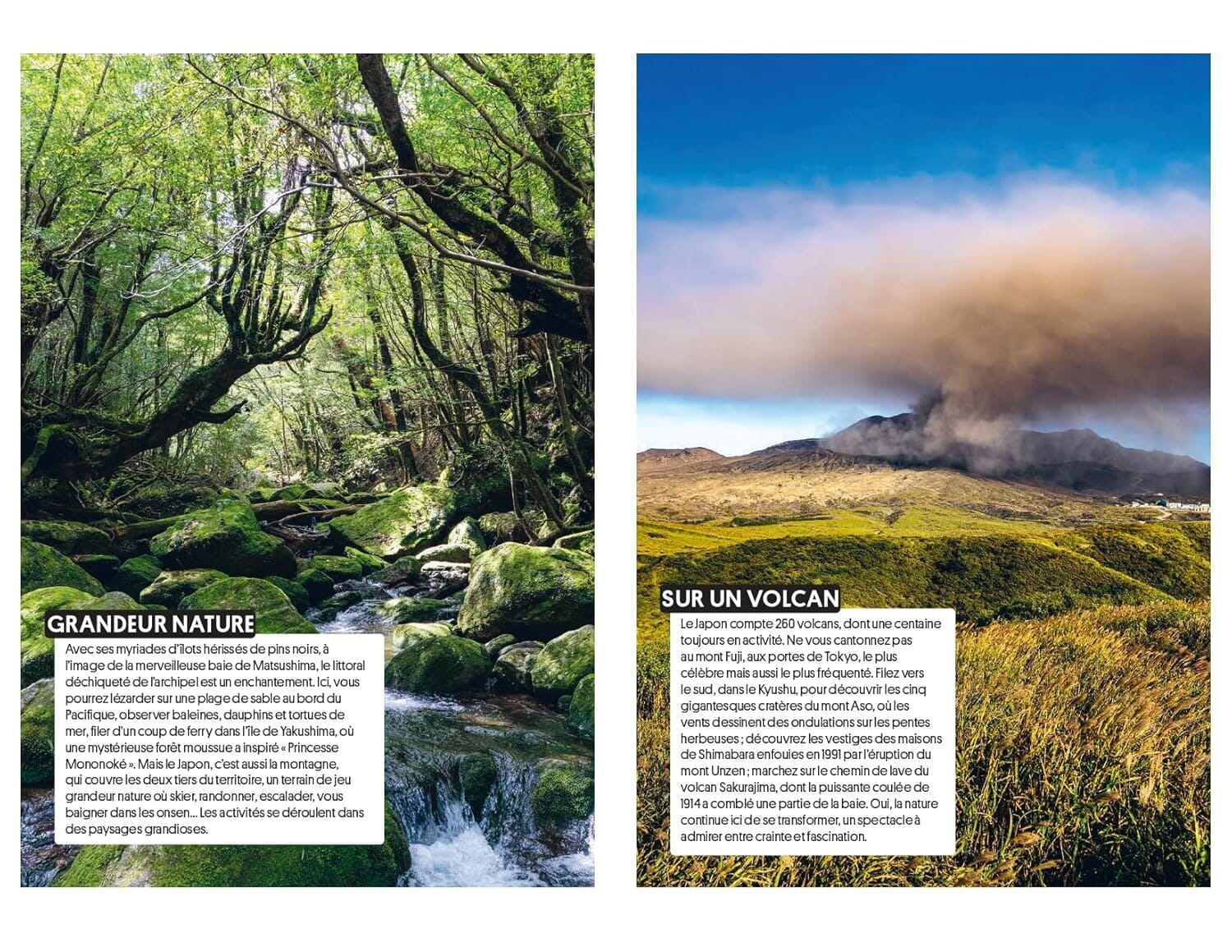 Guide de voyage Off - Japon - Édition 2025 | Michelin guide de voyage Michelin 