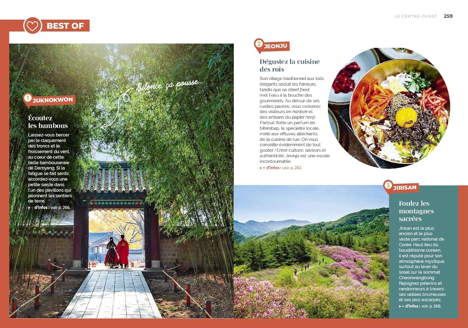 Guide de voyage Petaouchnok - Corée du Sud 2025 | Hachette guide de voyage Hachette 