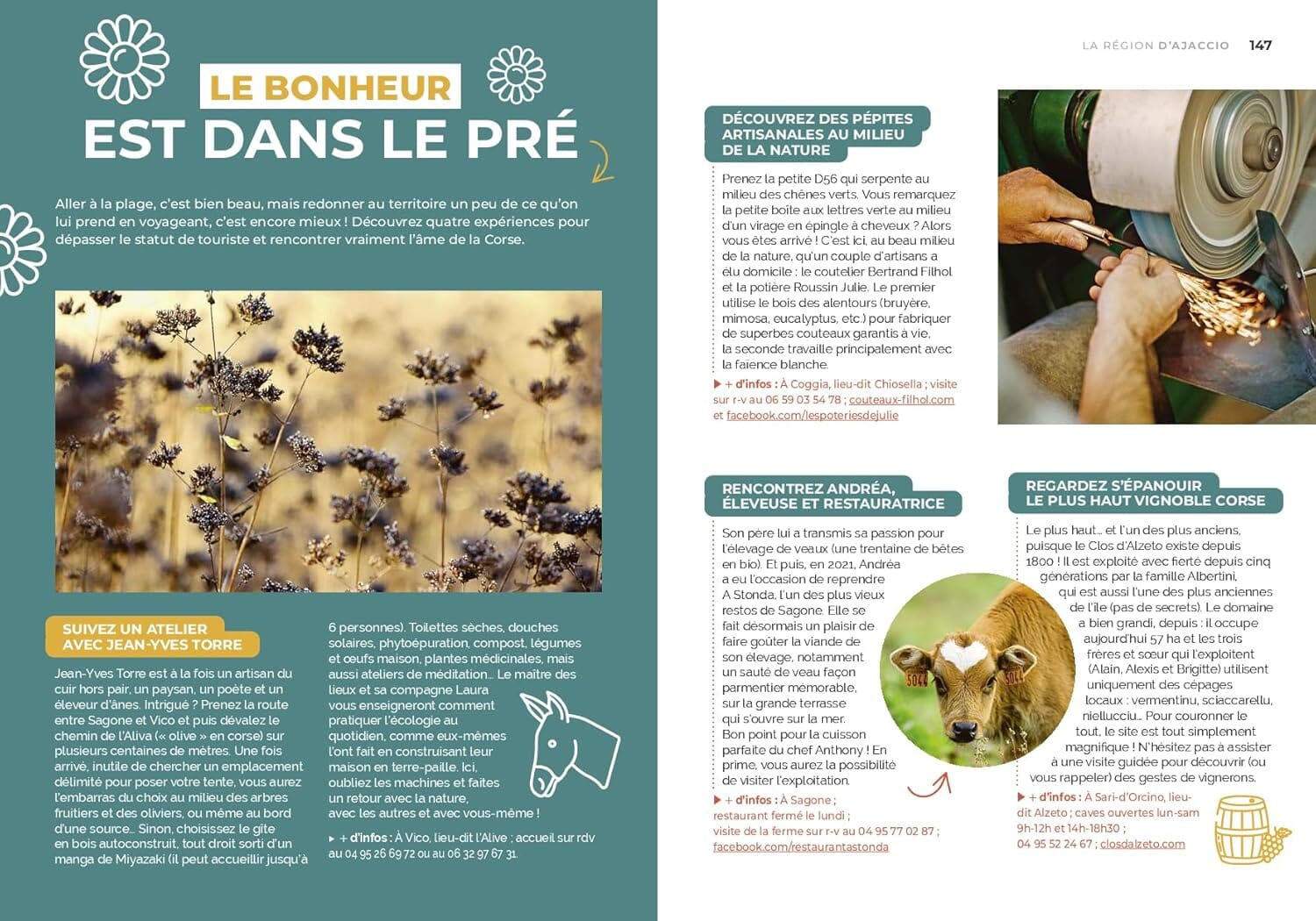 Guide de voyage Petaouchnok - Corse - Édition 2025 | Hachette guide de voyage Hachette 