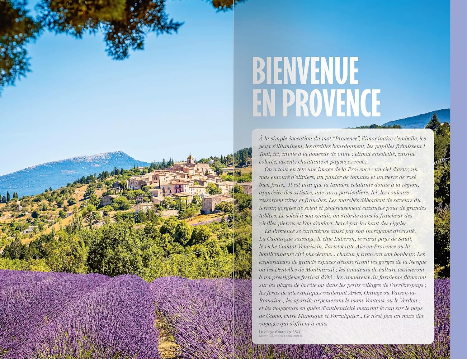 Guide de voyage - Provence 2026 | Lonely Planet - Explorer la région guide de voyage Lonely Planet 