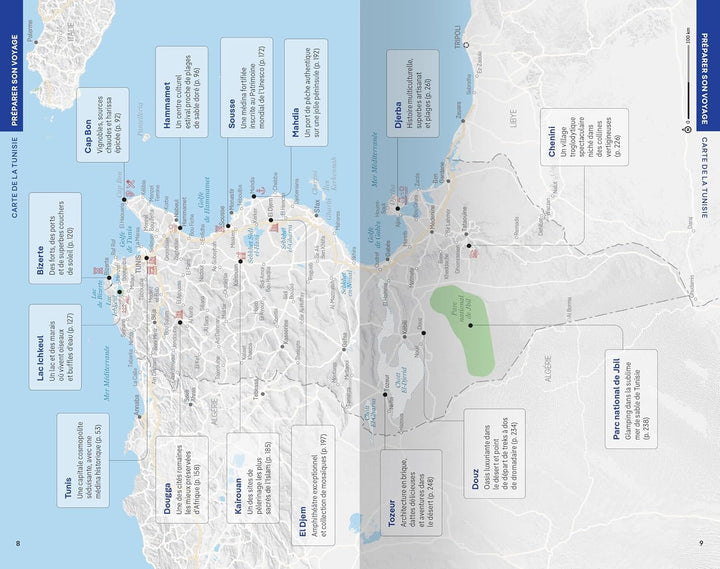 Guide de voyage - Tunisie 2026 | Lonely Planet guide de voyage Lonely Planet