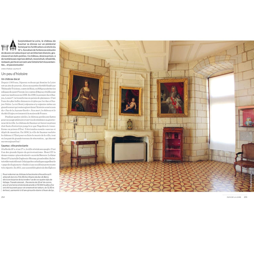 Guide de voyage - Visiter les châteaux de France | Michelin guide de voyage Michelin 
