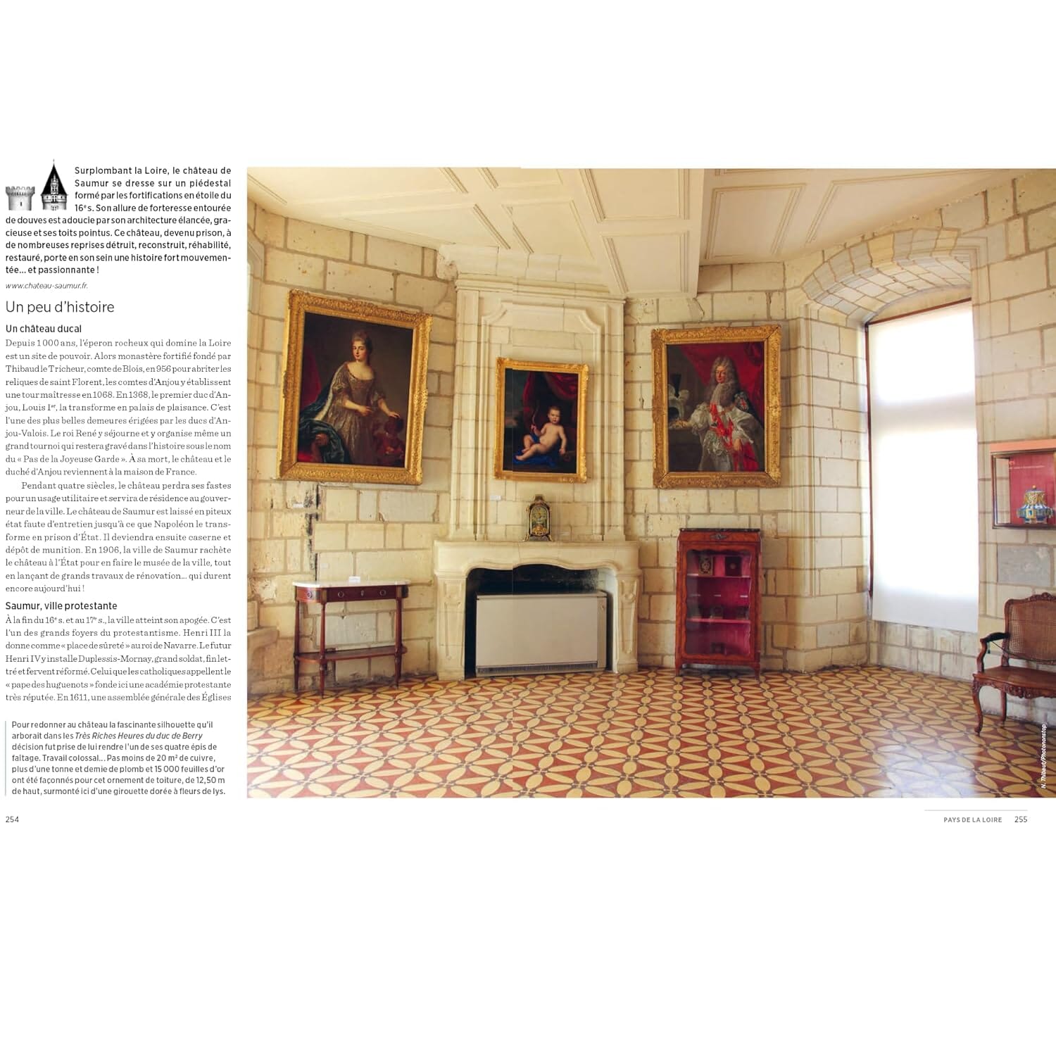 Guide de voyage - Visiter les châteaux de France | Michelin guide de voyage Michelin 