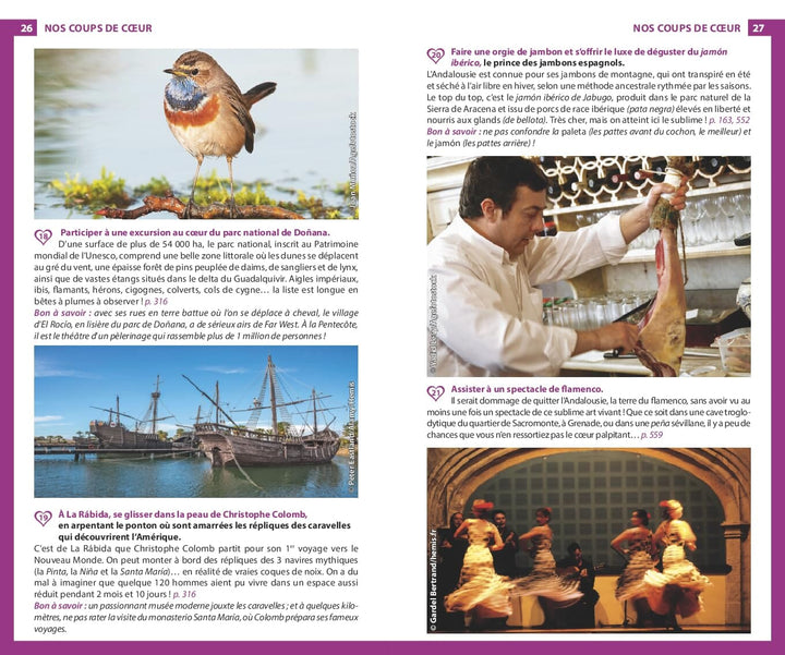 Guide du Routard - Andalousie 2024/25 | Hachette guide de voyage Hachette 