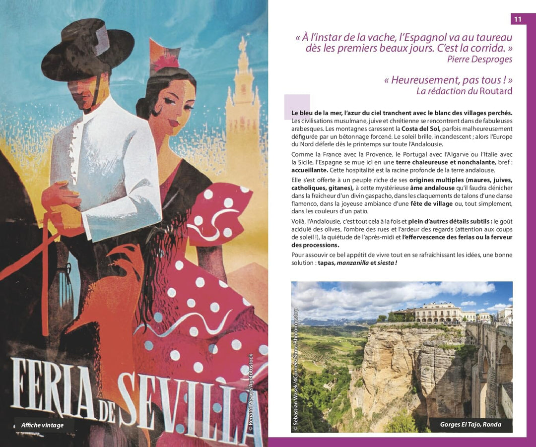 Guide du Routard - Andalousie 2024/25 | Hachette guide de voyage Hachette 