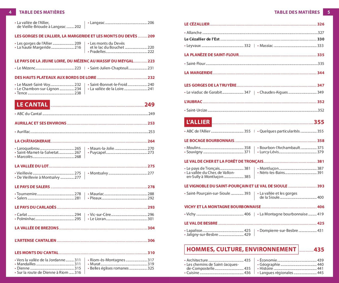 Guide du Routard - Auvergne 2024/25 | Hachette guide de voyage Hachette 
