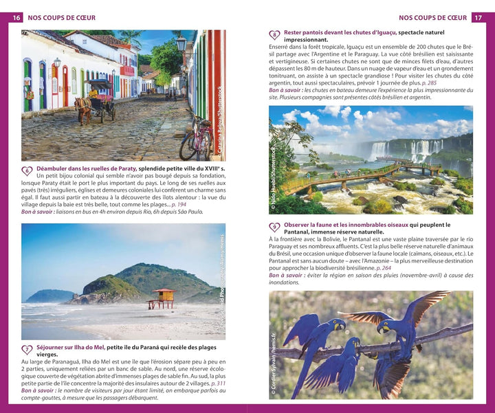 Guide du Routard - Brésil 2027/28 | Hachette guide de voyage Hachette 