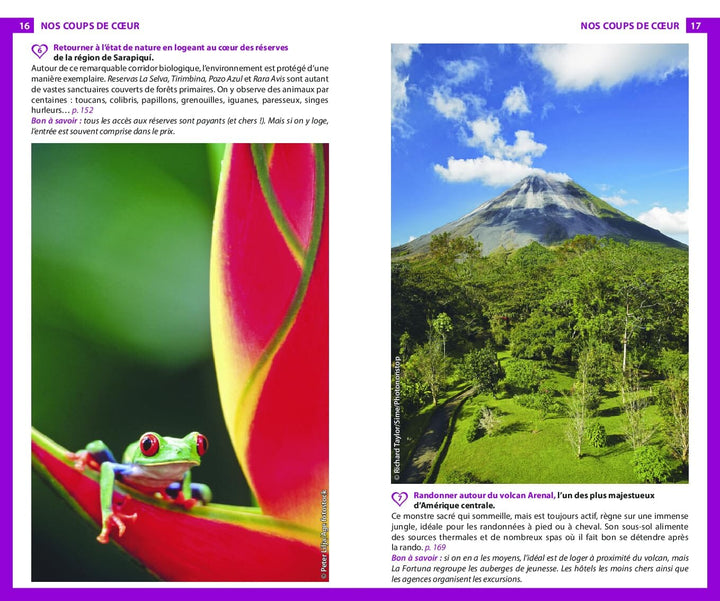 Guide du Routard - Costa Rica 2024/25 | Hachette guide de voyage Hachette 