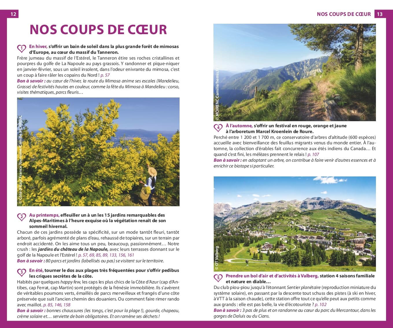 Guide du Routard - Côte d'Azur, Alpes-Maritimes & Monaco - Destination nature | Hachette guide de voyage Hachette 