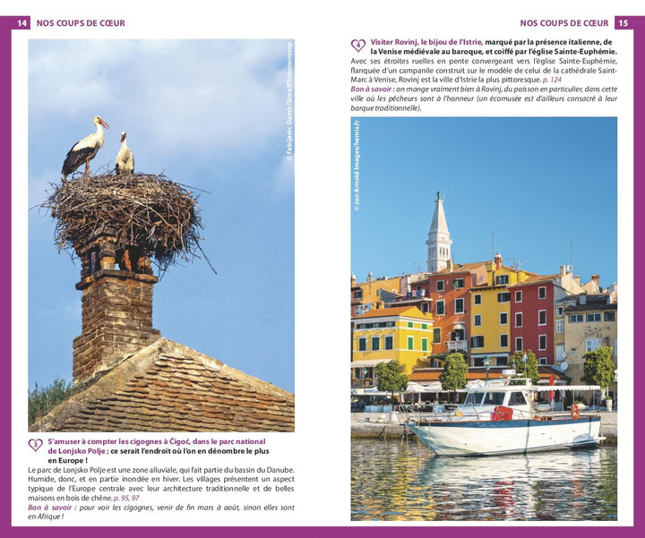 Guide du Routard - Croatie + Mostar (Bosnie) & Kotor (Monténégro) 2024/25 | Hachette guide de voyage Hachette 