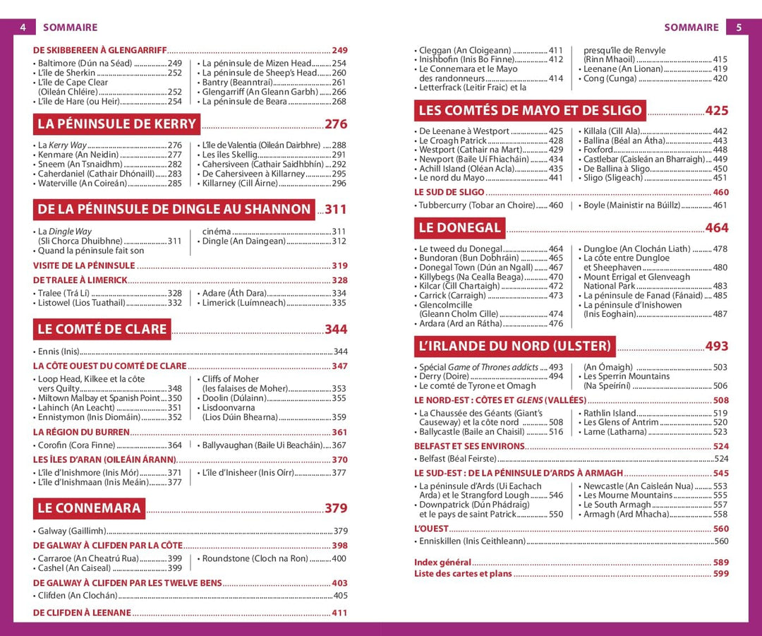 Guide du Routard - Irlande 2026/27 | Hachette guide de voyage Hachette 