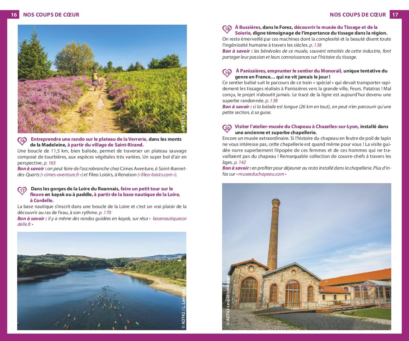 Guide du Routard - La Loire 2026 | Hachette guide de voyage Hachette 