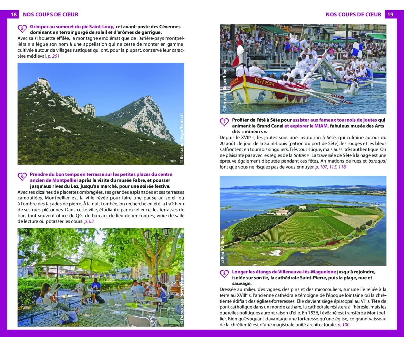 Guide du Routard - Languedoc, Cévennes 2025/26 | Hachette guide de voyage Hachette