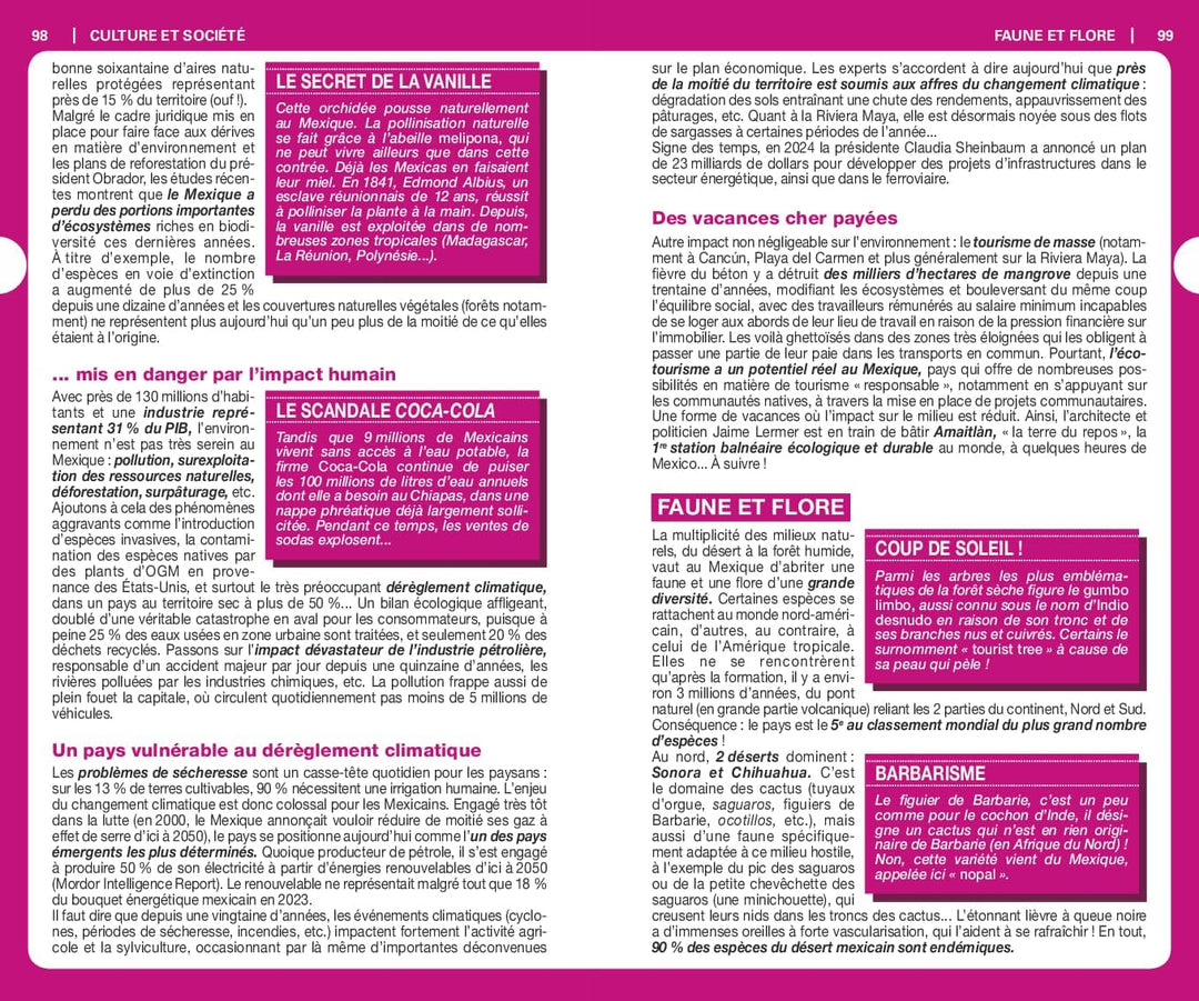 Guide du Routard - Mexique 2026/27 | Hachette guide de voyage Hachette 
