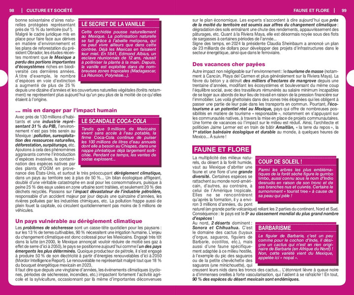 Guide du Routard - Mexique 2026/27 | Hachette guide de voyage Hachette 