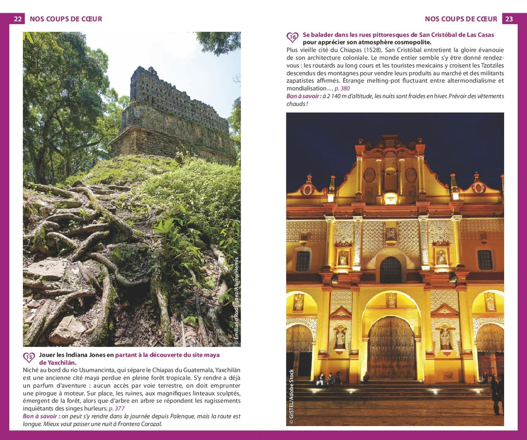 Guide du Routard - Mexique 2026/27 | Hachette guide de voyage Hachette 