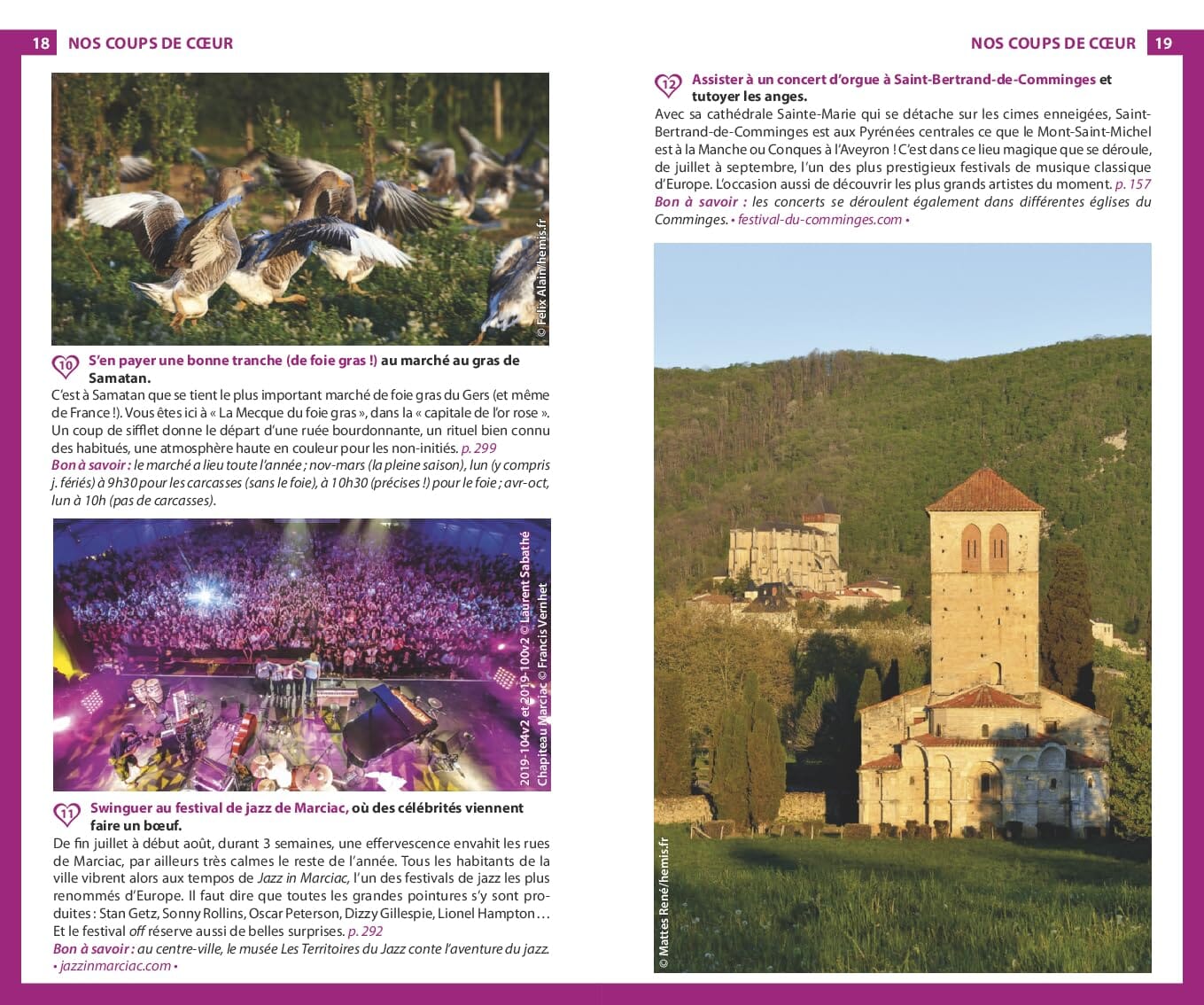 Guide du Routard - Midi Toulousain, Pyrénées, Gascogne 2024/25 | Hachette guide de voyage Hachette 