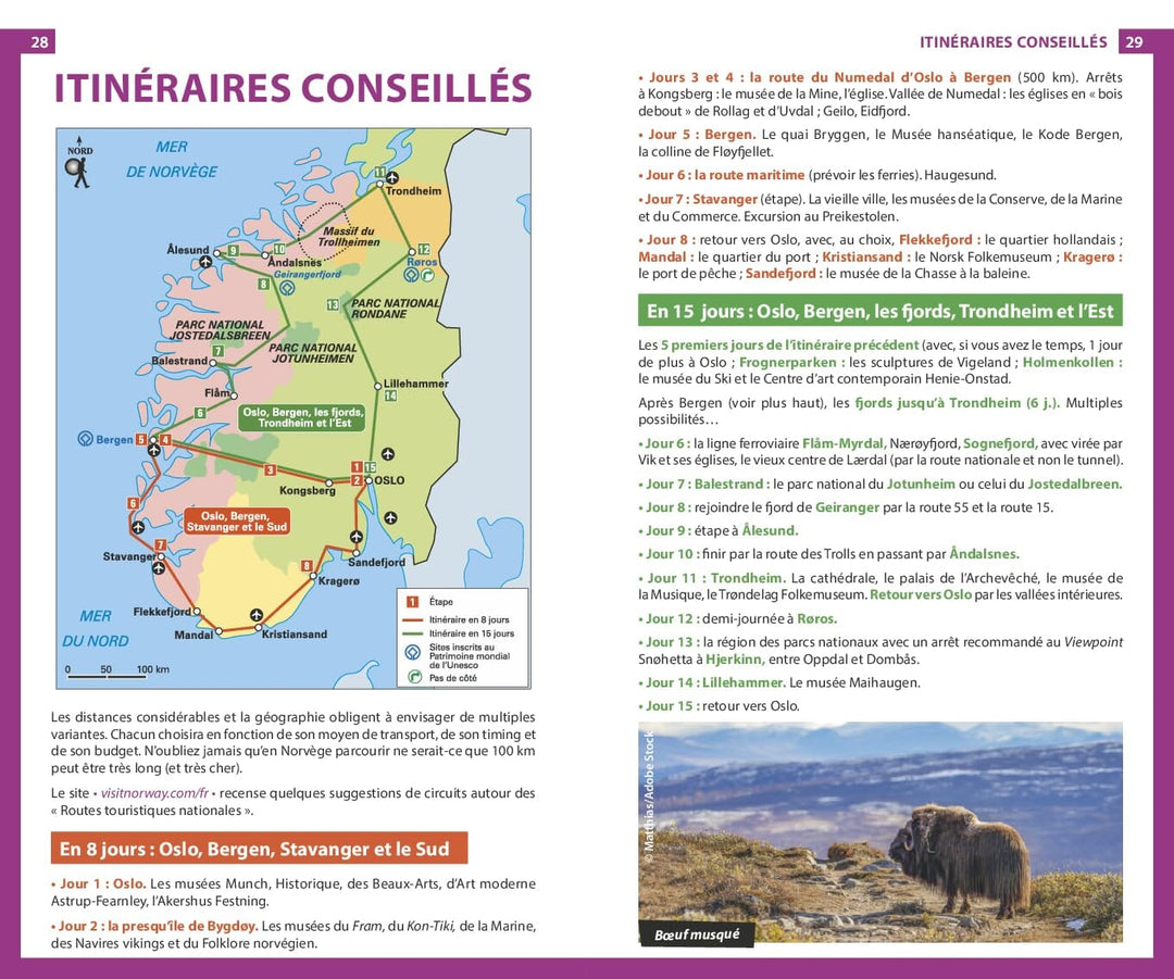 Guide du Routard - Norvège 2025/26 | Hachette guide de voyage Hachette 