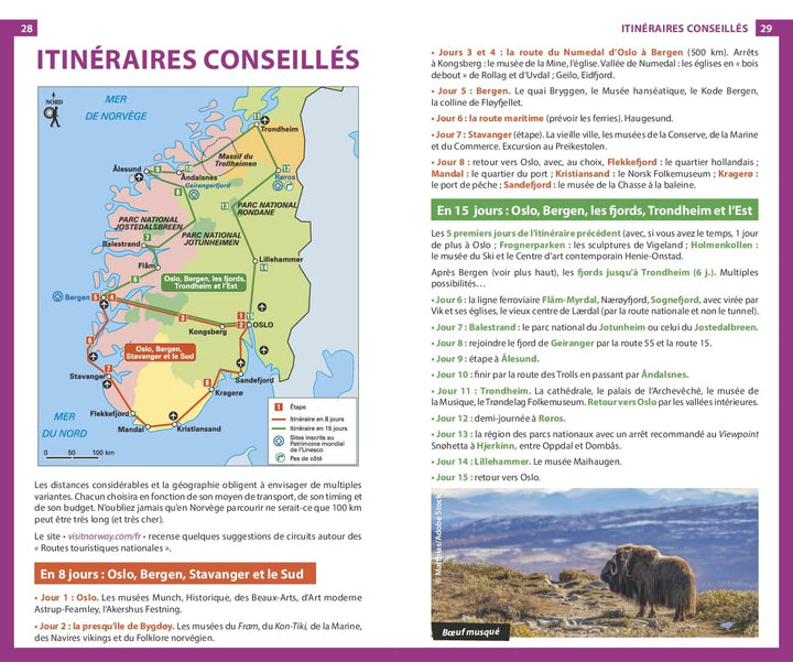 Guide du Routard - Norvège 2025/26 | Hachette guide de voyage Hachette 
