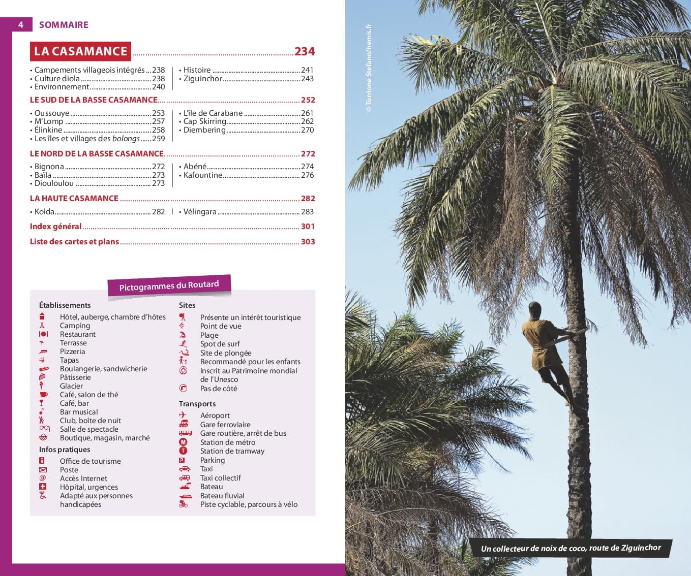 Guide du Routard - Sénégal 2026/27 | Hachette guide de voyage Hachette 