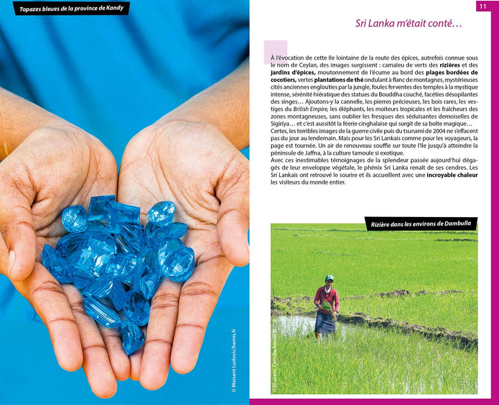 Guide du Routard - Sri Lanka 2020 | Hachette guide de voyage Hachette 