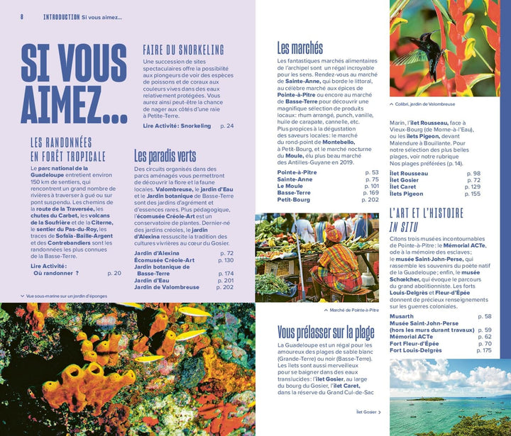 Guide Evasion - Guadeloupe - Édition 2025 | Hachette guide de voyage Hachette 
