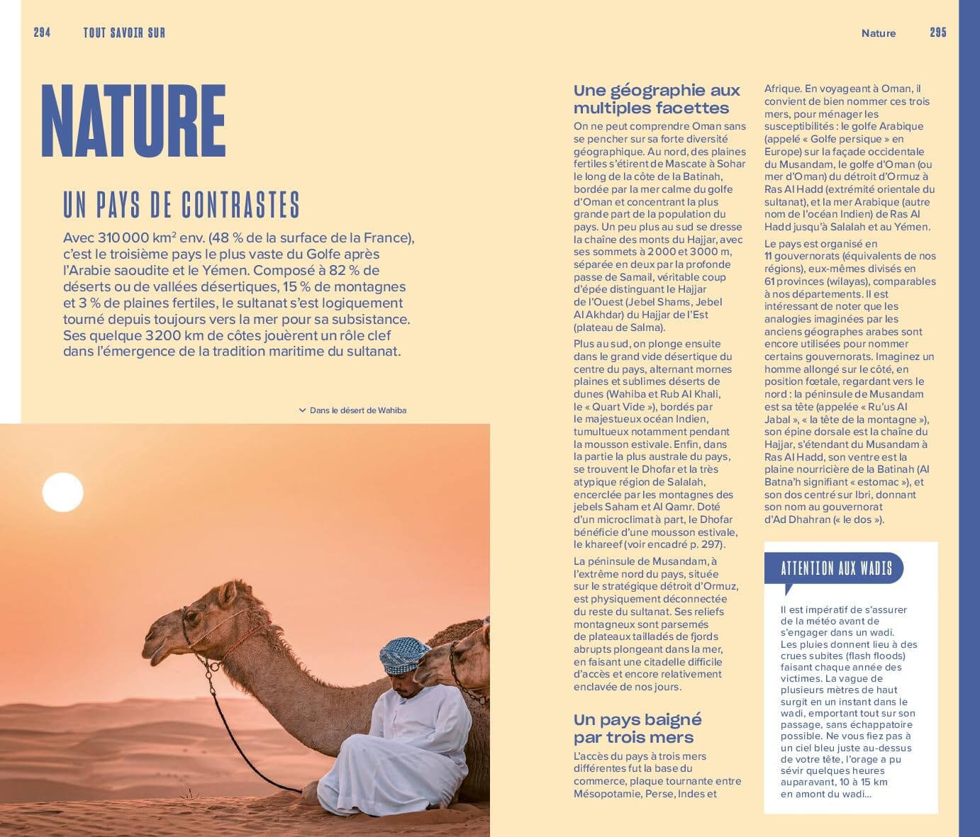 Guide Evasion - Oman - Édition 2025 | Hachette guide de voyage Hachette 