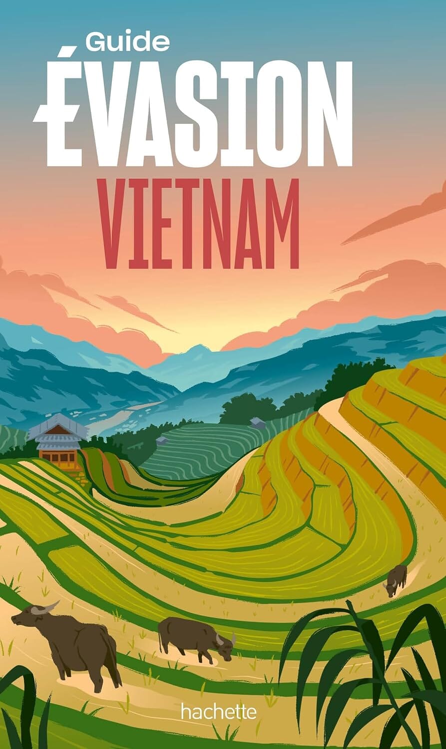 Guide Evasion - Vietnam 2026 | Hachette guide de voyage Hachette 