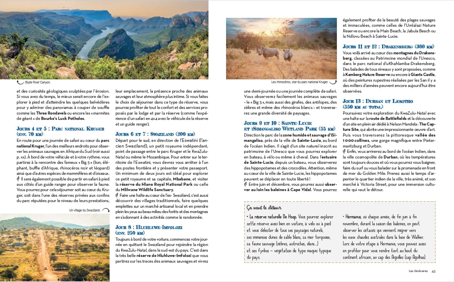 Guide pratique - Tout pour préparer son voyage en Afrique du Sud | Larousse guide de voyage Dilibel 