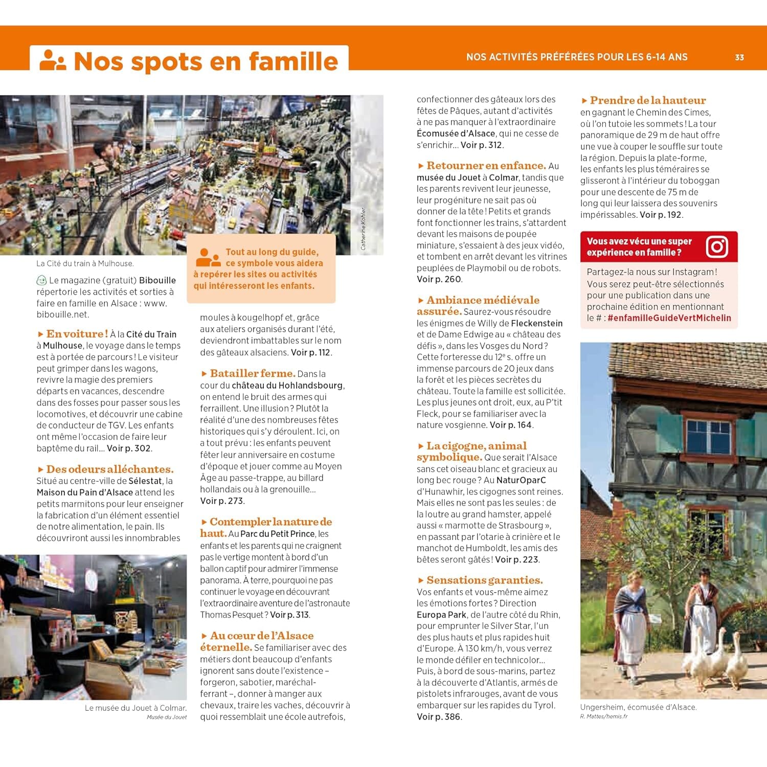 Guide Vert - Alsace, Massif des Vosges - Édition 2024 | Michelin guide de voyage Michelin 