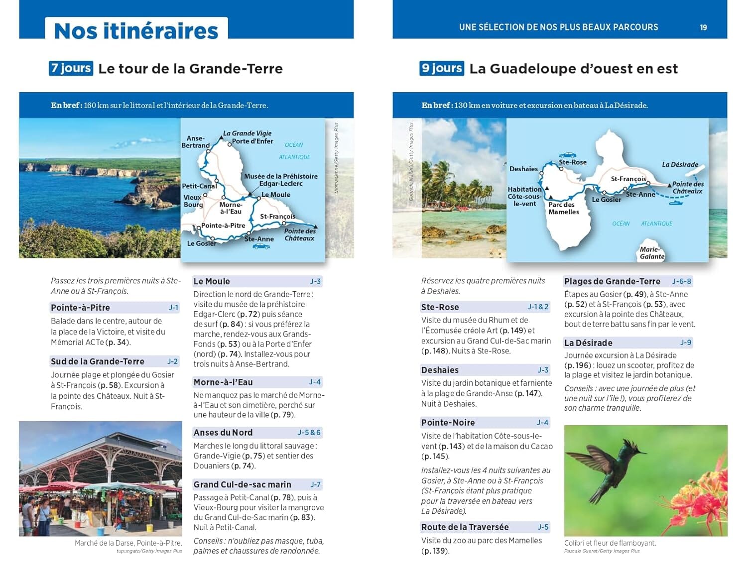 Guide Vert - Guadeloupe - Édition 2025 | Michelin guide de voyage Michelin 