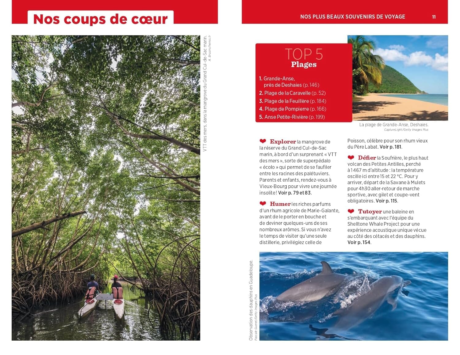 Guide Vert - Guadeloupe - Édition 2025 | Michelin guide de voyage Michelin 