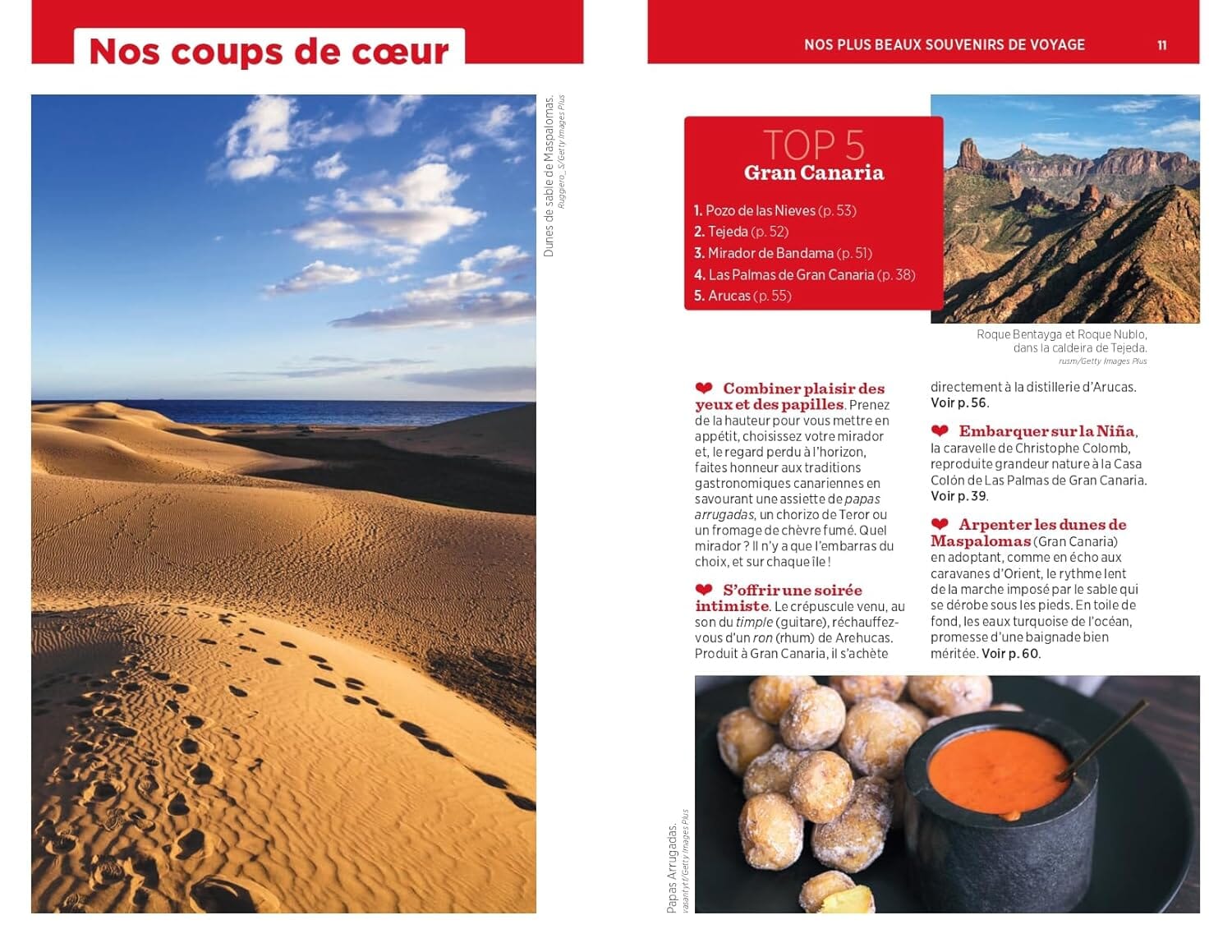 Guide Vert - Iles Canaries - Édition 2025 | Michelin guide de voyage Michelin 