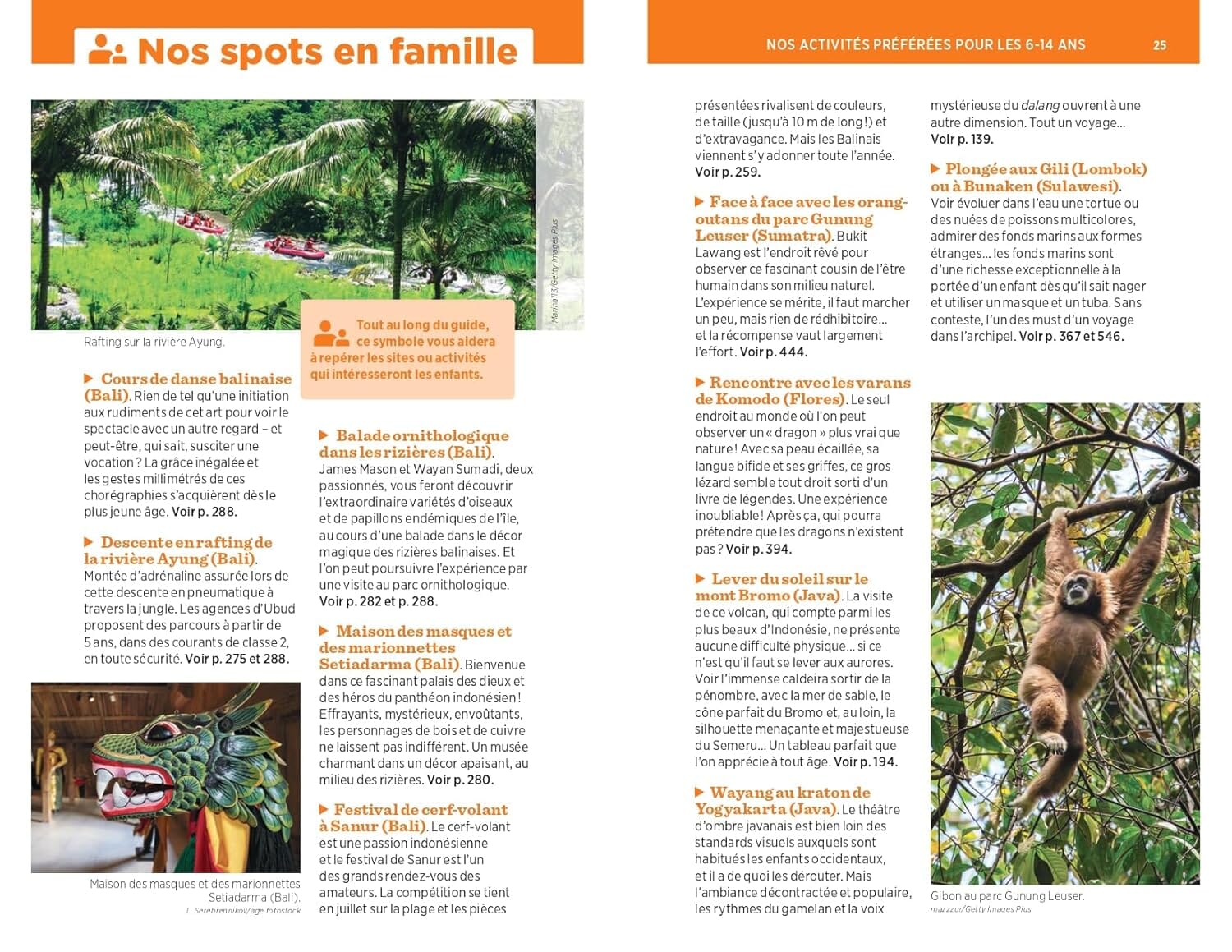 Guide Vert - Indonésie - Édition 2025 | Michelin guide de voyage Michelin 