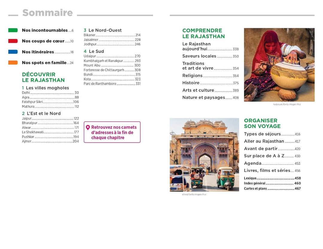 Guide Vert - Rajasthan, Delhi et Agra - Édition 2025 | Michelin guide de voyage Michelin 
