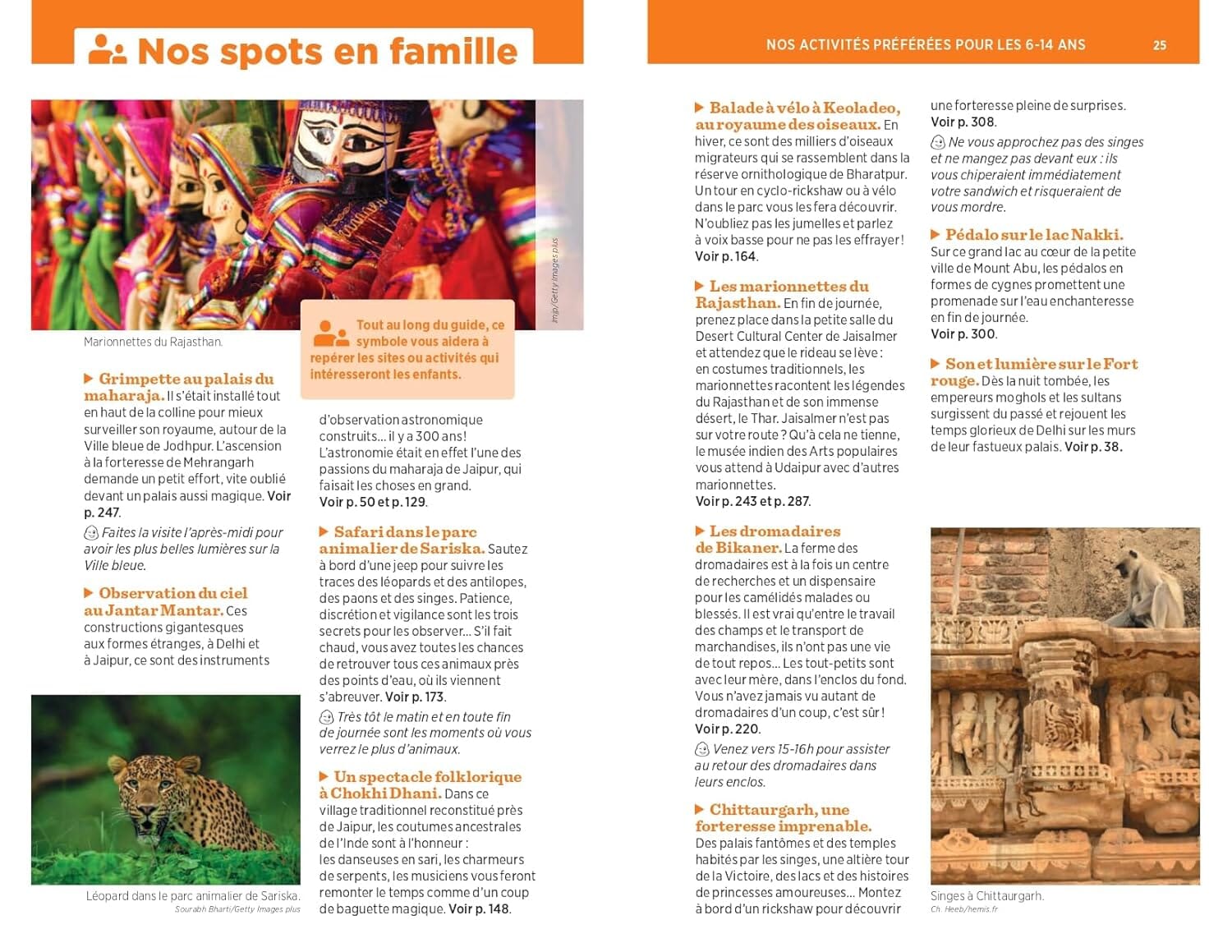 Guide Vert - Rajasthan, Delhi et Agra - Édition 2025 | Michelin guide de voyage Michelin 