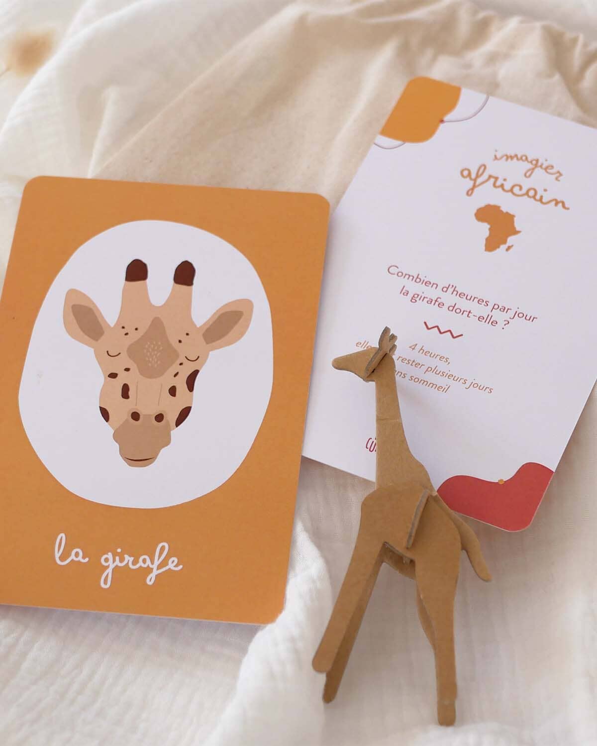 Imagier de l'Afrique - 20 cartes illustrées en pochon coton bio | Papier Curieux jeu Papier Curieux